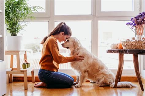 The Importance Of Pet Ownership In Millennials Miss Molly Says