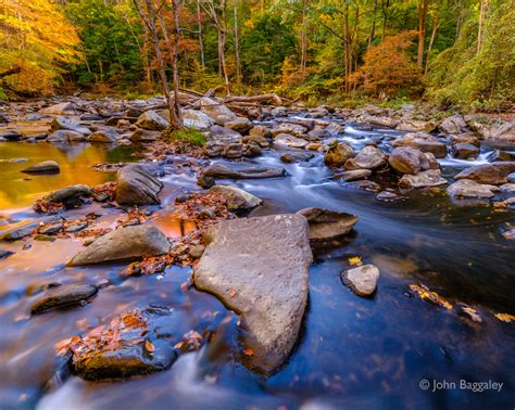 John Baggaley Photography Autumn Leaves At Rock Creek