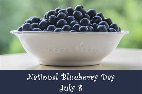 National Blueberry Day July 8 Stock Photo Image Of July National