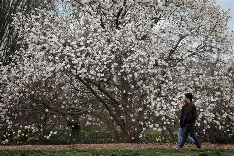 When Does Spring Start In 2023 What To Know