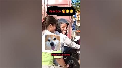 Cute Girls Reaction 🥰 Cute Couples Reaction 🥰😻 Bunny Helmet Minivlog Funny Viral Comedy Mr38