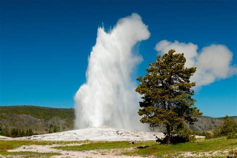 Interesting Facts About Old Faithful Just Fun Facts