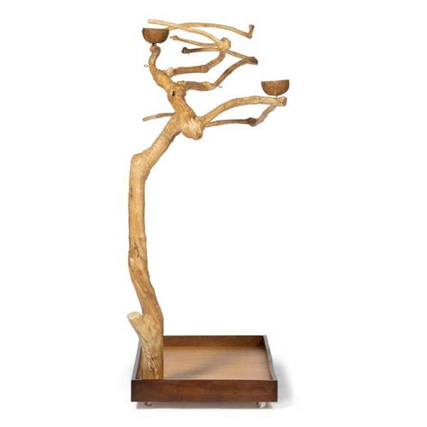 Coffeawood Tree Style 2 Floor Stand Medium 22624 Prevue Pet Products