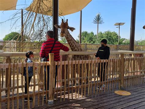 Ticket Prices Location And More For Dubai Safari Park 2022
