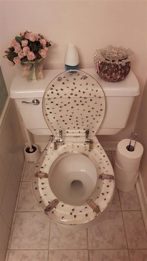 If the toilet is not in acceptable condition, pull out the cover and place it so the flap hangs into the bowl. Go sit on a tack! Funny toilet seat cover for a guest ...