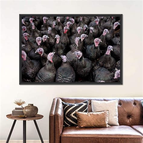 free range turkeys wall art photography photography wall art beautiful art print wall canvas