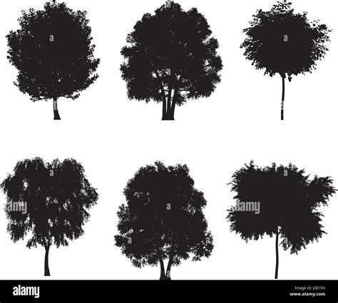 Vector Illustration Of Tree Silhouettes Stock Vector Image And Art Alamy