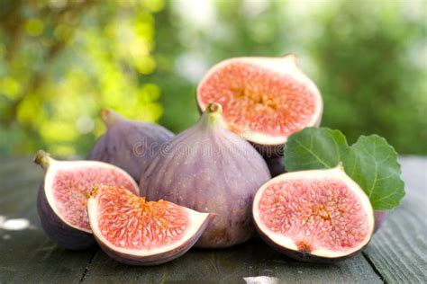Fresh Figs Stock Photo Image Of Farm Life Nutrition 26498062