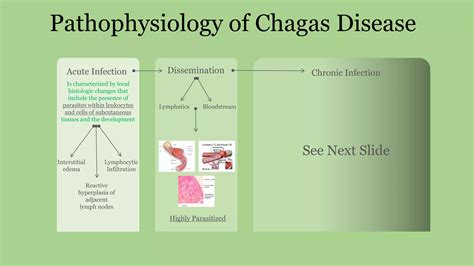 Chagas Disease American Trypanosomiasis Ppt