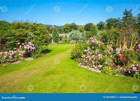 Beautiful Landscaped Garden With Evergreens Example Using Purple
