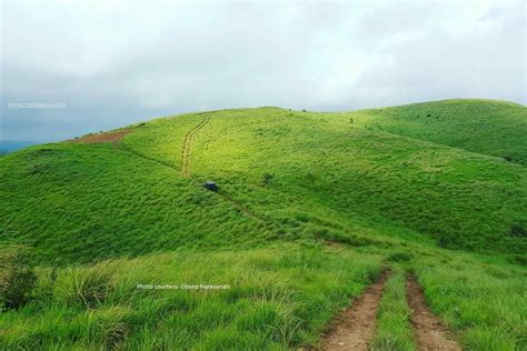 Vagamon Travel Guide Uluppuni Trekking Cutekerala