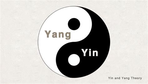 Yin Yang Theory Tcmly