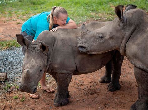 A Look At South Africas Hidden Rhino Orphanage News Photos Gulf News