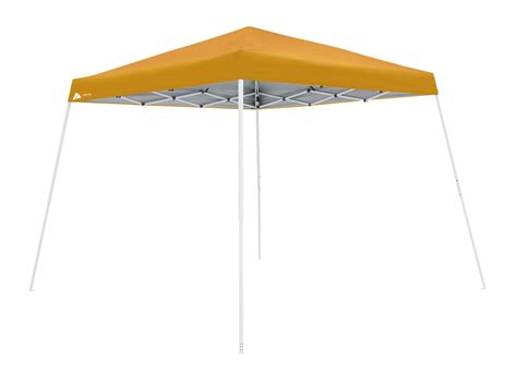 Ozark Trail 10 X 10 Instant Slant Leg Canopy Canopy Outdoor Shade