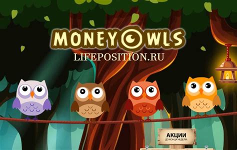 Money Owls Отзывы и обзор новой игры с выводом про сов