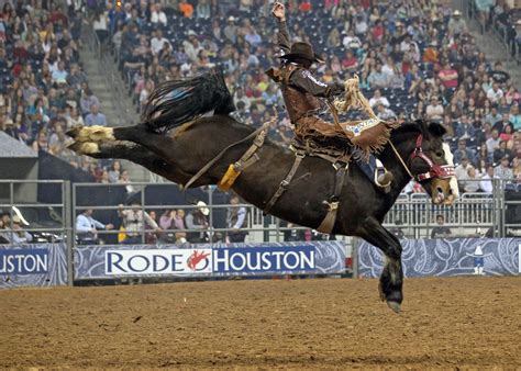 Rodeo Wallpaper 62 Images