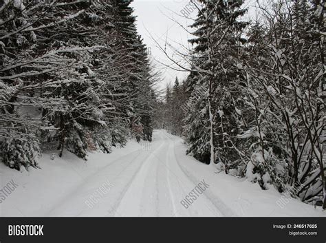 Snowy Road Krskonose Image And Photo Free Trial Bigstock