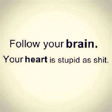 Definitely Follow Your Brain Funny Quotes Quotes Words