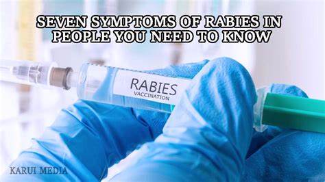 Seven Symptoms Of Rabies In People You Need To Know Informations And Media Review