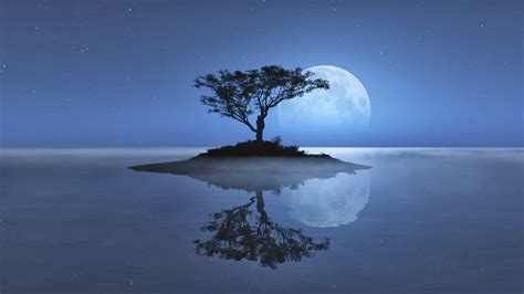 Cool night nature backgrounds