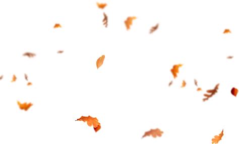 Maple Leaf Falling No Background Png Play