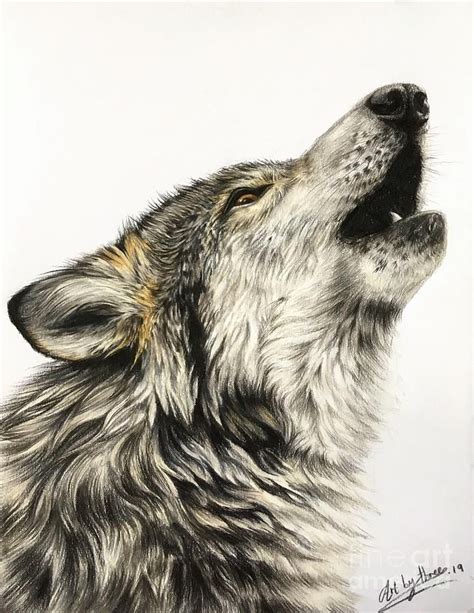 Howling Wolf Drawing Howling Wolf By Art By Three Sarah Rebekah Rachel White Wolf Howling