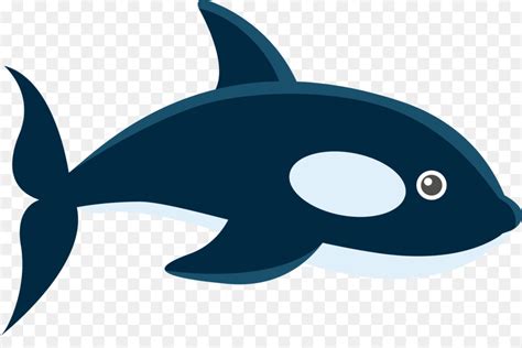 Check spelling or type a new query. Gambar Hewan Ikan Paus Kartun