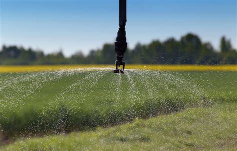 4 comparison table of the best smart watering systems. The Best Drip Irrigation Systems for Your Garden - Bob Vila