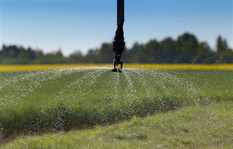 You will need water for your sprinkler system eventually, and now is a good time to access your water line. The Best Drip Irrigation Systems for Your Garden - Bob Vila