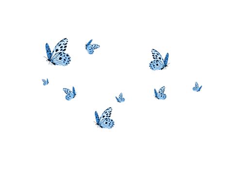 Aesthetic Blue Butterfly Wallpaper Laptop Draw O