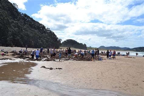 Hot Water Beach New Zealand Top Tips Before You Go With Photos TripAdvisor