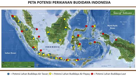 Peta Potensi Ikan Di Indonesia The Best Porn Website