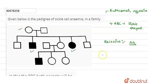 Sickle Cell Anemia Pedigree Chart