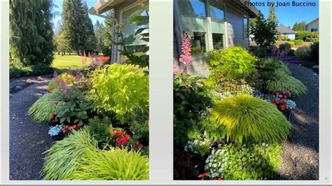 Shade Gardening - OSU Master Gardeners Noon-Time Chat - YouTube