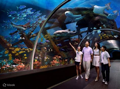 2023 Sea Aquarium Singapore One Day Pass Eticket