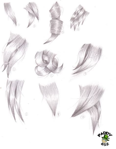 Hair Study By Paddy852 On Deviantart