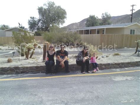 11'' tall cholla cactus wood aquarium display prop (y6a). GrahamCrackers: Agua Caliente Park - Dec. 25th 2012