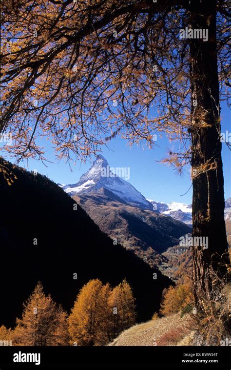 Switzerland Europe Canton Valais Matter Valley Matterhorn Larch Fall