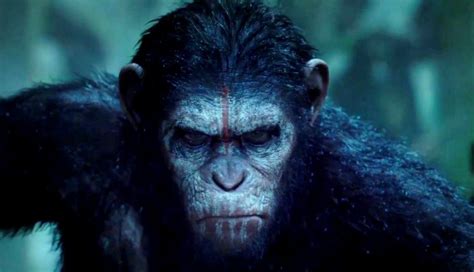 Dawn Of The Planet Of The Apes Wallpapers Wallpaper Cave