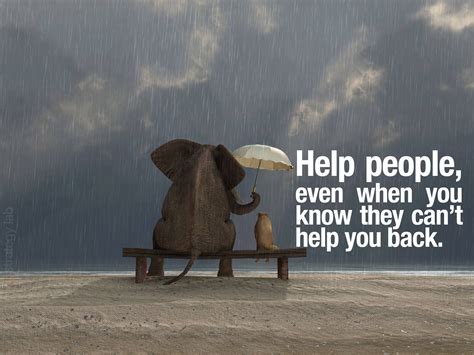 25 Quotes About Helping Others And Getting Nothing In Return Quotesbae