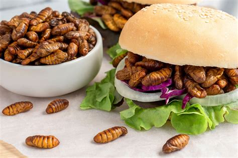 Survey 25 Of Uk Consumers Happy To Try Edible Insects All About Feed