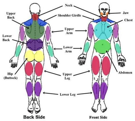 Fibromyalgia Pressure Point Location And Pain Management