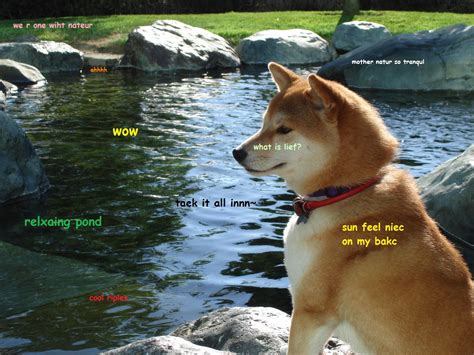 Doge memes i done stole. Image - 582642 | Doge | Know Your Meme