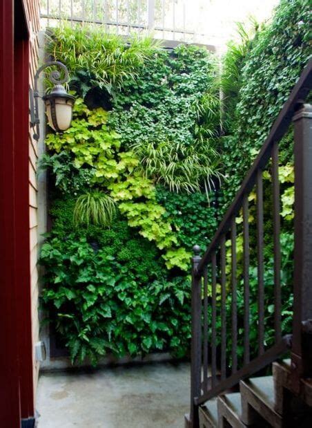 60 Wall Garden Ideas And Inspiration Golly Gee Gardening