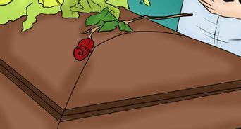 Check spelling or type a new query. 4 Ways to Become a Nun - wikiHow