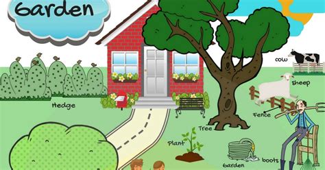 Garden Vocabulary Useful Gardening Terms With Pictures 7esl