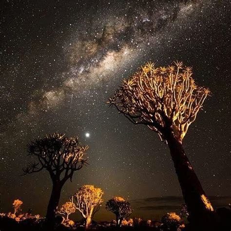 Nambia Nights Africa Photography Namibia Travel Travel Pictures
