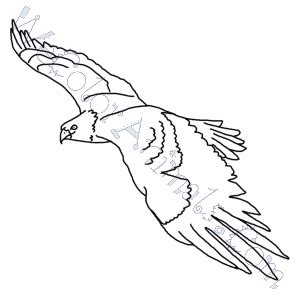 Golden Eagle Coloring Pages