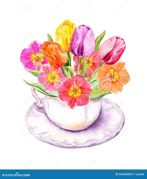 Spring Tulip Flowers In Vintage Tea Cup Tea Party Watercolor Stock