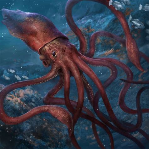 Pin By Remake The Stars On Cephalopods Giant Squid Scary Animals